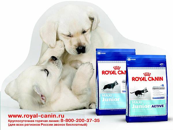 Royal Canin ХАРДПОСТЕР картонный из картона