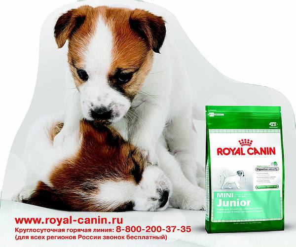 MINI Royal Canin ХАРДПОСТЕР картонный из картона